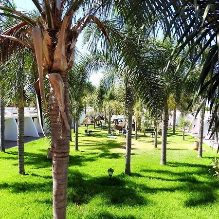 Assam Hotel Kenitra Dış mekan fotoğraf